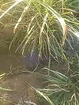 Cute Boy 4 online show from February 2026 02:44:01 AM