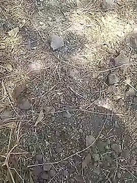 Cute Boy 4 online show from March 2026 08:09:01 AM