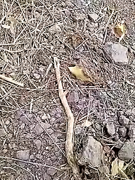 Cute Boy 4 online show from April 2026 07:31:01 AM