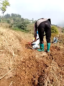 Tina-beo online show from March 2026 01:43:01 AM