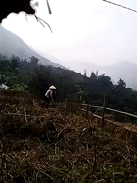 Tina-beo online show from March 2026 09:42:02 AM