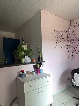 Snapshot of Loaisn chatting on February 2026 05:52:01 PM Loaisn online show from February 2026 05:52:01 PM