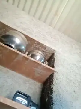 Lucky couple-1 online show from February 2026 08:55:01 AM