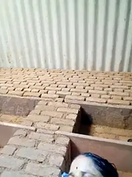 Lucky couple-1 online show from April 2026 08:24:01 AM