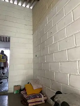 jeyko jey online show from February 2026 08:19:02 PM