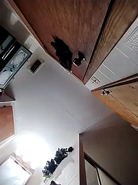 chad23162 online show from February 2026 04:58:02 PM