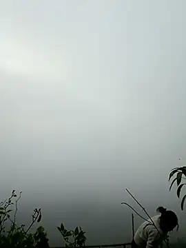 sushi-asa online show from March 2026 12:51:01 AM