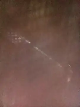 Dunk-namic online show from April 2026 07:28:01 AM