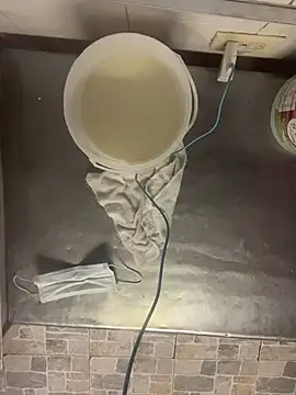 Danny black11 online show from March 2026 11:53:02 PM