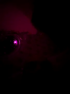 Raj teluguboy online show from March 2026 07:43:02 PM