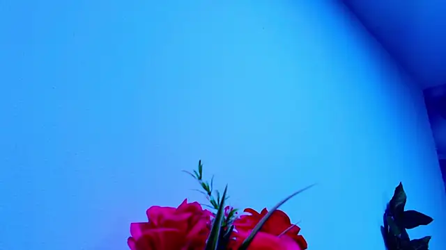lil miia online show from June 2026 07:08:02 PM