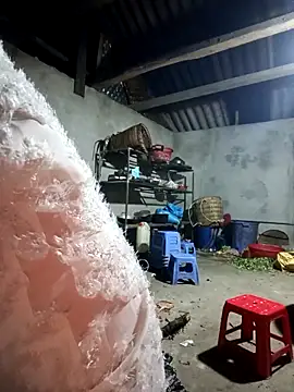 baby 112233 online show from March 2026 10:33:01 PM