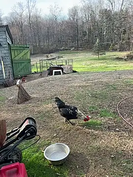 tommattsonn online show from March 2026 09:40:01 PM