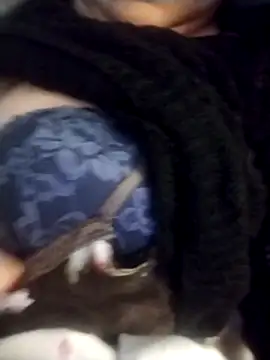 oxavector online show from February 2026 08:08:02 AM