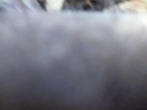 Joecool1009 online show from February 2026 12:31:01 AM