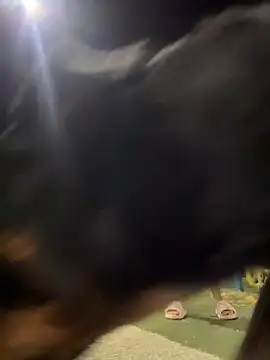 Arya    online show from February 2026 05:47:02 AM