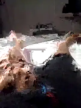 Al-Hari online show from February 2026 04:13:01 PM