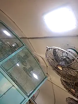 Talkwithsex online show from February 2026 02:39:02 AM