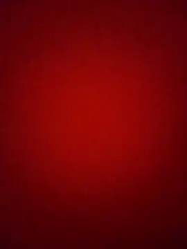 Snapshot of Pelloz chatting on February 2026 09:37:01 AM Pelloz online show from February 2026 09:37:01 AM