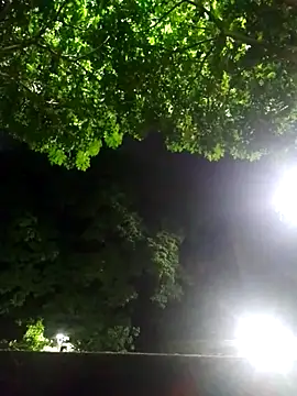 Andres sant  online show from April 2026 06:17:02 AM