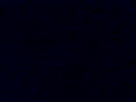 Tommyzzzzzz online show from November 2025 05:21:02 AM