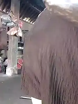 Nhoccon90 online show from March 2026 05:44:01 AM