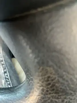 stallone italiano 62 online show from April 2026 05:39:01 PM