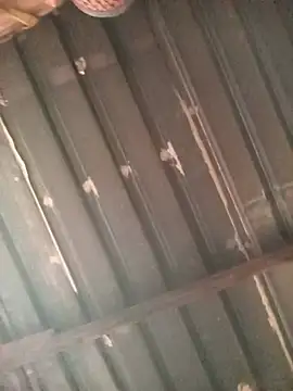 ShowingFilum online show from July 2026 12:33:01 PM