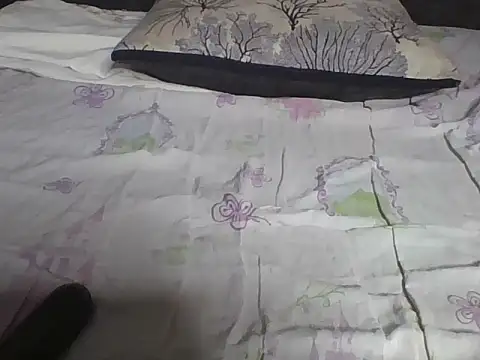 Snapshot of Hot-litchie chatting on February 2026 11:06:02 AM Hot-litchie online show from February 2026 11:06:02 AM