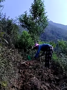 lovely-742 online show from April 2026 08:42:02 AM