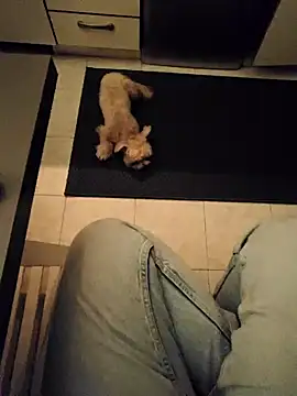 Ginevra01 online show from March 2026 08:24:02 PM