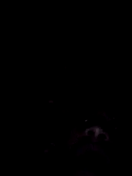 lermaalburu online show from April 2026 08:09:02 PM