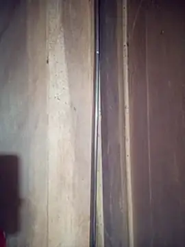 toyo 668 online show from April 2026 11:36:01 AM