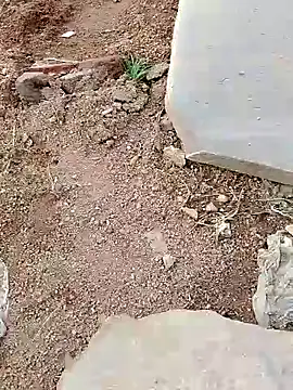 Krishna sahu online show from June 2026 12:44:02 PM