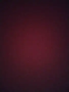 Regina 23 online show from February 2026 12:07:01 AM