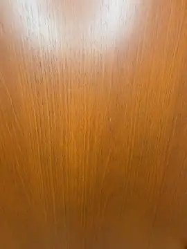 SANA-ch online show from March 2026 01:44:02 PM