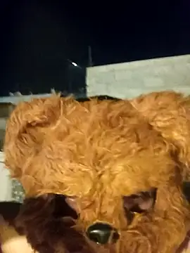 Chondo79 online show from March 2026 07:03:01 AM