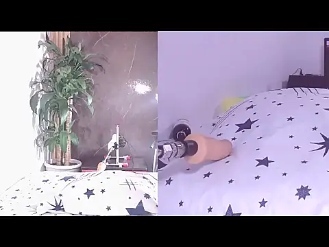 Carol Swet online show from April 2026 11:49:01 AM