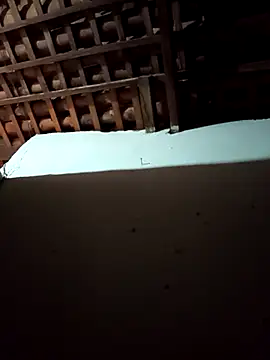 mykasantos20 online show from February 2026 04:53:02 AM