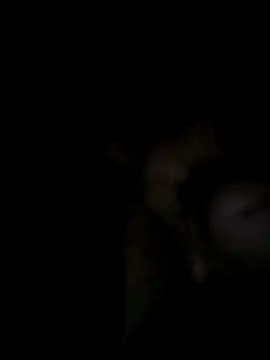 Egypt1000 online show from March 2026 03:34:01 AM