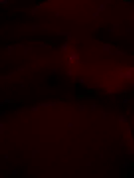 shark822 online show from May 2026 08:21:02 PM