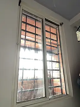 katasanz online show from April 2026 02:31:01 PM