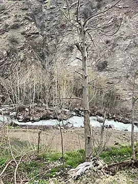 TurkeyMen online show from April 2026 09:09:01 AM