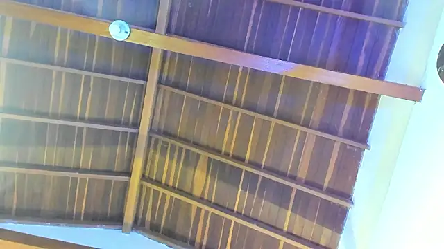 TonyPetrovjs online show from February 2026 05:50:01 AM