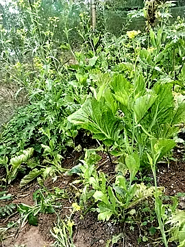 ngocbao11 online show from February 2026 01:04:01 AM