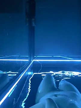 Butterflygi online show from February 2026 09:30:01 AM