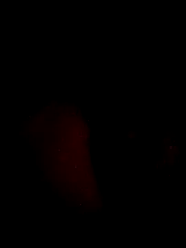 juanjonac online show from May 2026 02:29:02 AM