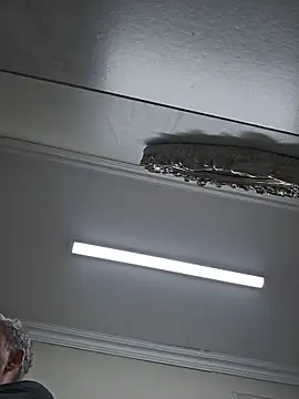 DanielGrey SA online show from February 2026 05:16:02 AM