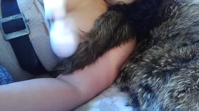 BunnyYT online show from March 2026 11:59:01 AM