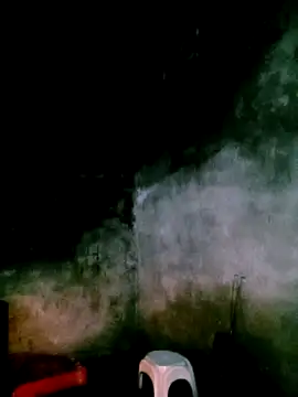 elen8800 online show from April 2026 11:09:01 AM